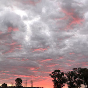 Meet your Posher, Lucy